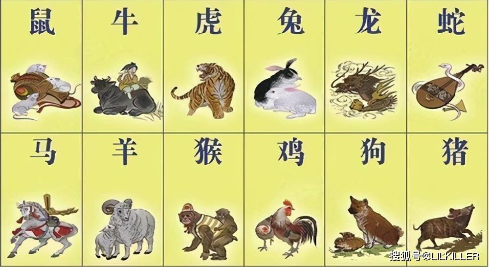 今期生肖讲故事吼中杂狗全可收是什么生肖详细解答、科学解答解释落实