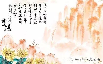 三五结合秋意浓是什么生肖，详细解答、科学解答解释落实