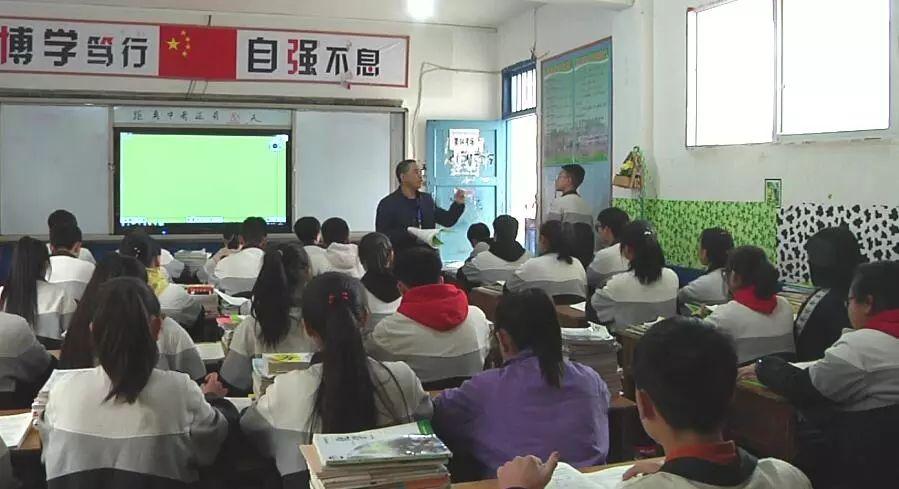 桃李芬芳满天下，猪兄猴弟异姓牛打一个准确生肖与警惕虚假宣传-全面释义、实证解答解释落实
