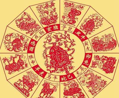 眼花绦乱色彩艳,九死一生后有福是什么生肖详细解答、解释与落实、构建解答解释落实
